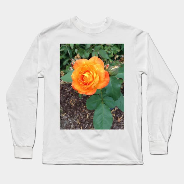 My Favorite Orange Rose Long Sleeve T-Shirt by Amanda1775